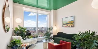 best indoor plants for apartments