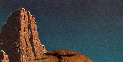 Tiger King collage (Laura Gommans)