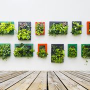 vertical garden