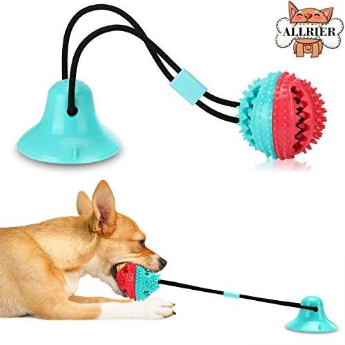 super chewer dog toys