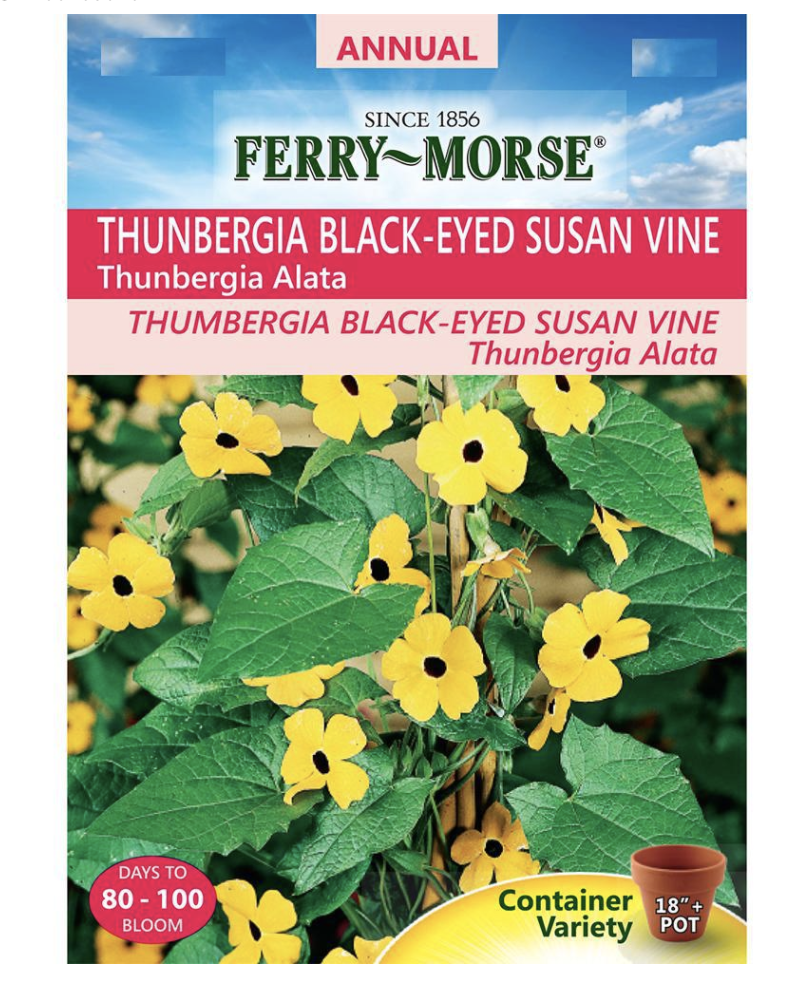 solar flower lights home depot on Easy Ways To Transform Your Backyard Into An Outdoor Oasis